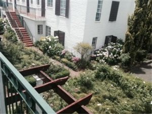 Bachelor apartment in Saxonwold
