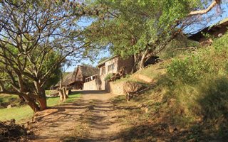 9 ha Farm in Peacevale