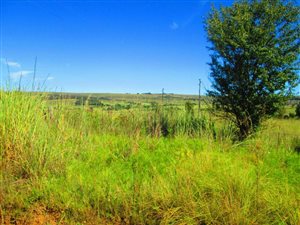 708 m² Land available in Dullstroom