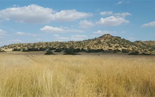 937 ha Farm in Bloemfontein Rural