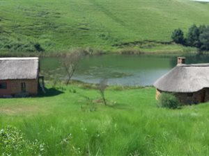 56 ha Farm in Currys Post