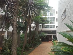 3 Bed Apartment in Parkview