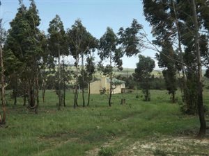 175 ha Farm in Machadodorp
