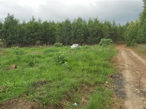 2000 m² Land available in Harding