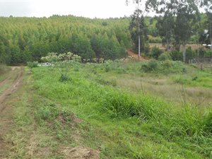 2000 m² Land available in Harding