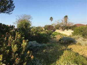 879 m² Land available in Dana Bay