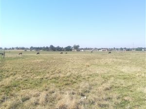 1 Bed House in Homelands
