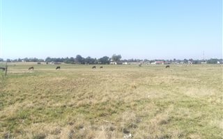 1 Bedroom House in Homelands