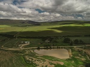 791 ha Farm in Bonnievale