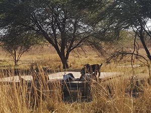 21.4 ha Farm in Boekenhoutskloof and surrounds