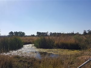 21.4 ha Farm in Boekenhoutskloof and surrounds