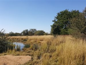 21.4 ha Farm in Boekenhoutskloof and surrounds