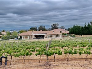 6460 m² Farm in Zevenwacht Country Estate
