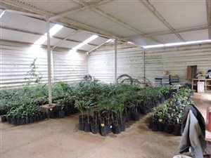 50.2 ha Farm in Krugersdorp Central
