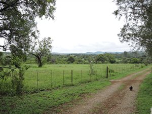 50.2 ha Farm in Krugersdorp Central