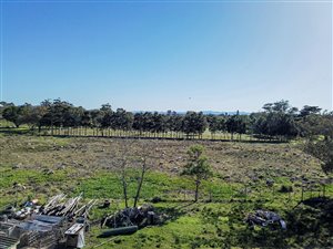17859 ha Farm in Chelsea
