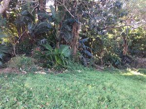1623 m² Land available in Pumula