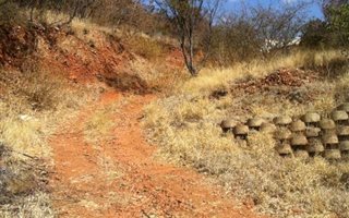 4303 m² Land available in Florauna