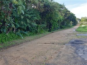 1405 m² Land available in Palm Beach
