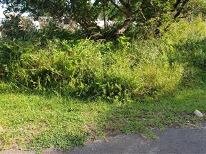 1405 m² Land available in Palm Beach
