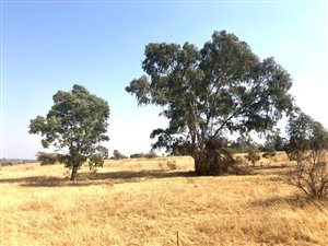 1 ha Farm in Sun Valley