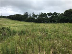 5000 m² Land available in Seaton Estate