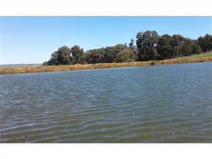 173.2 ha Farm in Dullstroom