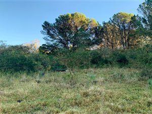 2000 m² Land available in Bathurst and Surrounds