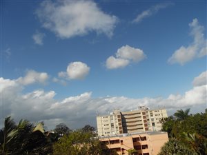 4 Bed Apartment in Musgrave