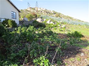 697 m² Land available in Saldanha