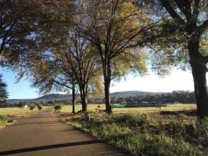 1635 m² Land available in Howick