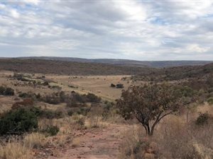 619 m² Farm in Middelburg Central