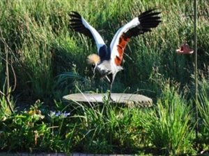 2680 m² Land available in Karkloof