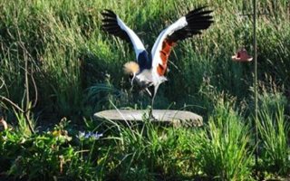 2680 m² Land available in Karkloof