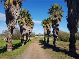 61.3 ha Farm in Stellenbosch Agricultural