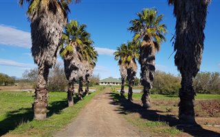 61.3 ha Farm in Stellenbosch Agricultural