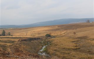 54.1 ha Farm in Greytown