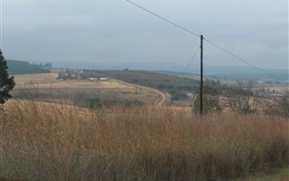 54.1 ha Farm in Greytown