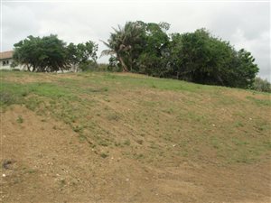 616 m² Land available in Shelly Beach