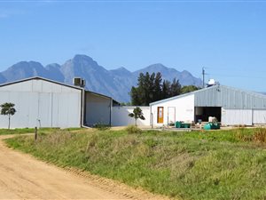 71 ha Farm in Riebeek Kasteel