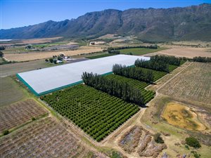 546 ha Farm in Porterville