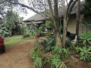 3 Bed House in Hayfields