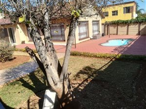 4 Bed House in Silverton
