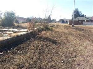11835 ha Farm in West Village