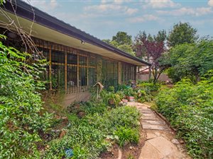 3 Bed House in Northmead