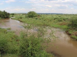 376 ha Farmland in Ventersdorp