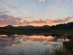 832.6 ha Farm in Malelane