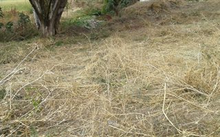 1493 m² Land available in Lombardy West