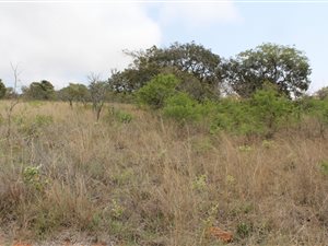 1.4 ha Land available in White River AH