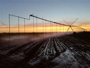 550 ha Farm in Petrusburg